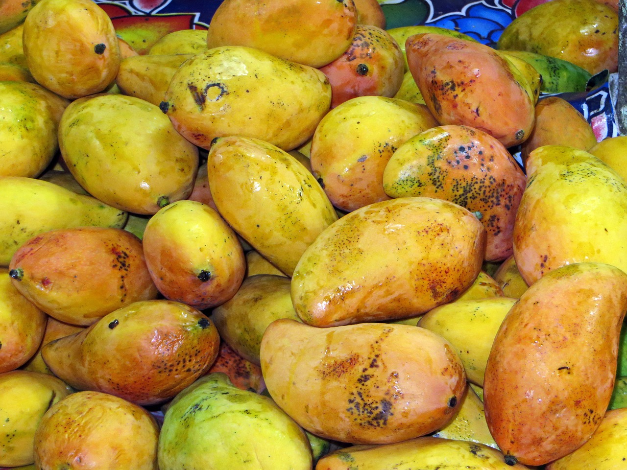 mexico mango market free photo