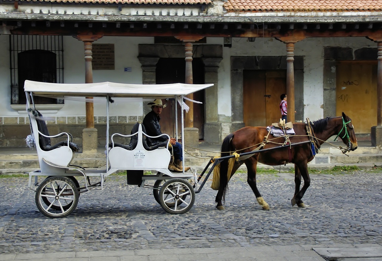 mexico puebla carriage free photo