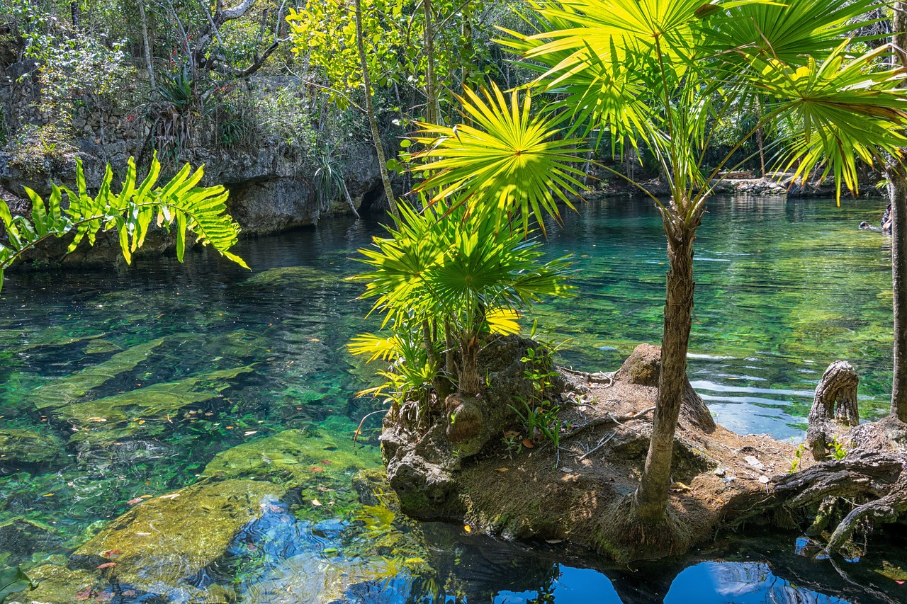 mexico yucatan cenote free photo