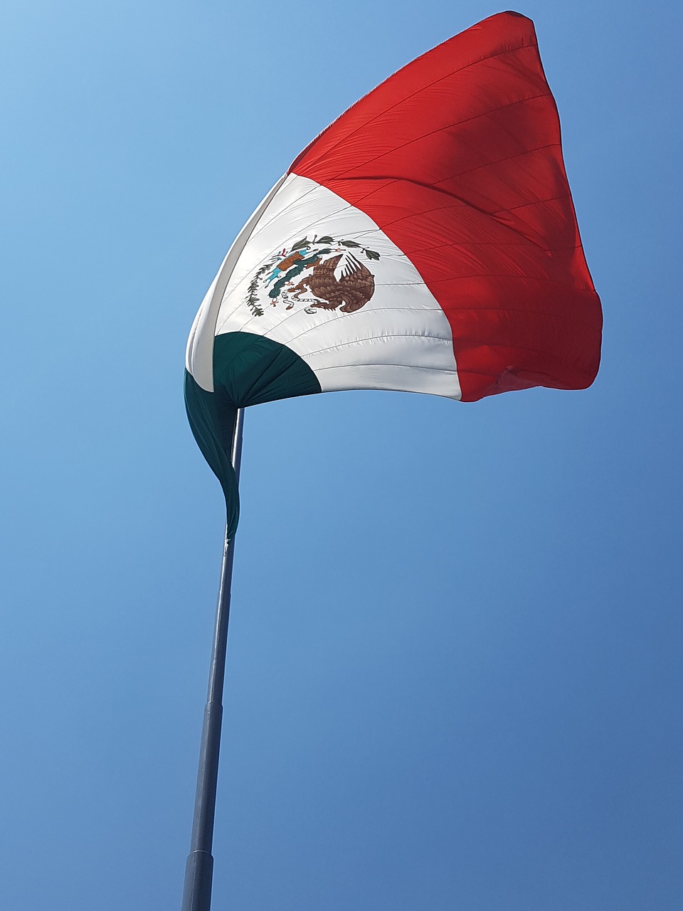 mexico flag mexican flag free photo