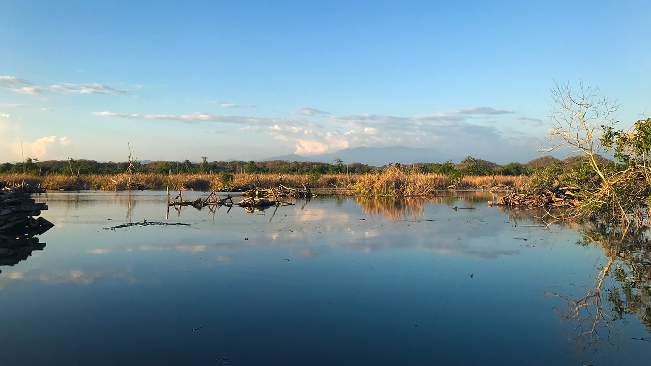 mexico landscape nature free photo