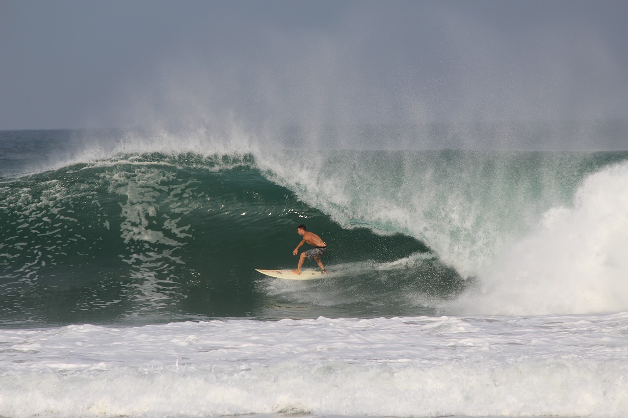 mexico surfing water free photo