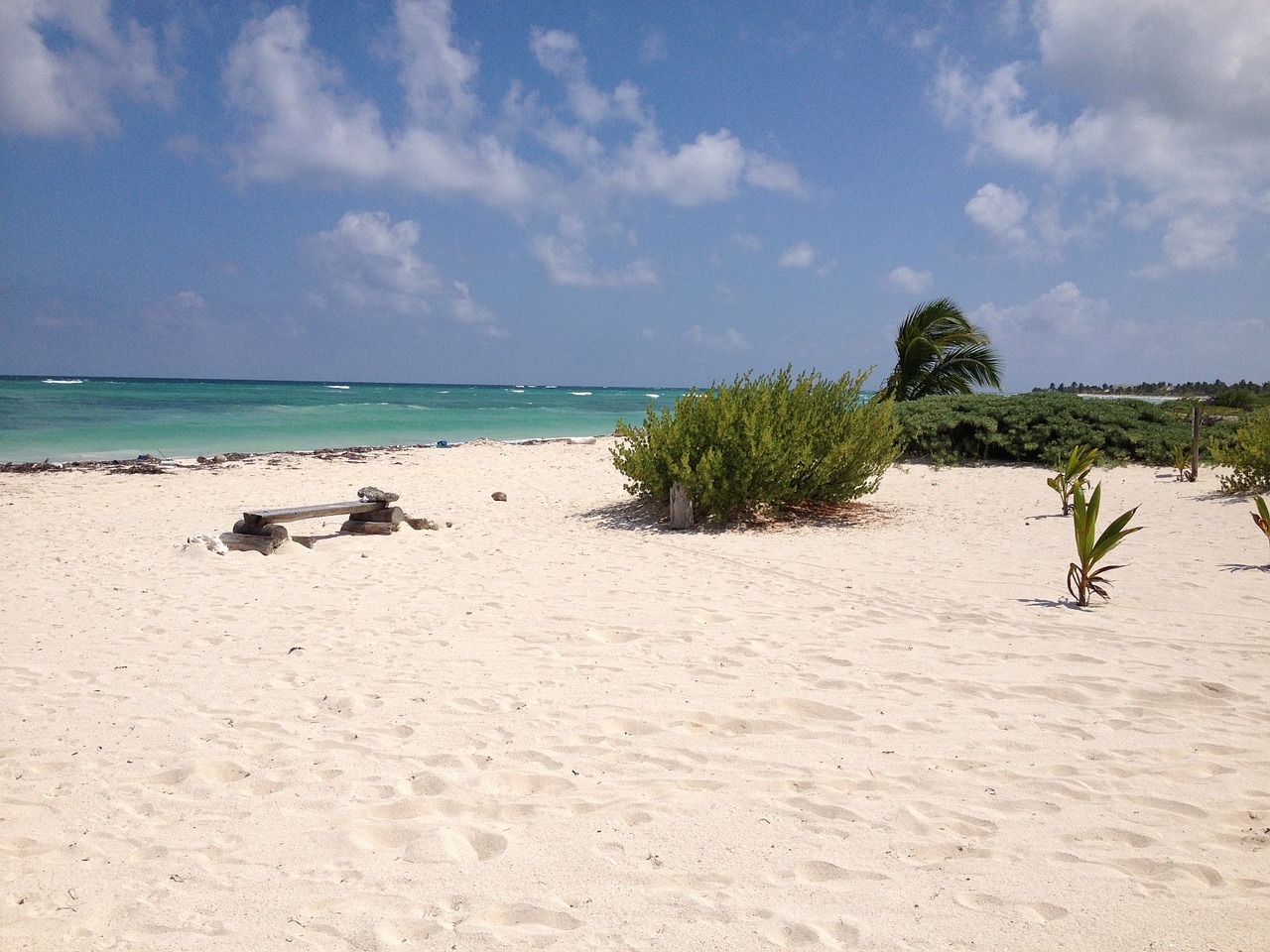 mexico beach majahual free photo