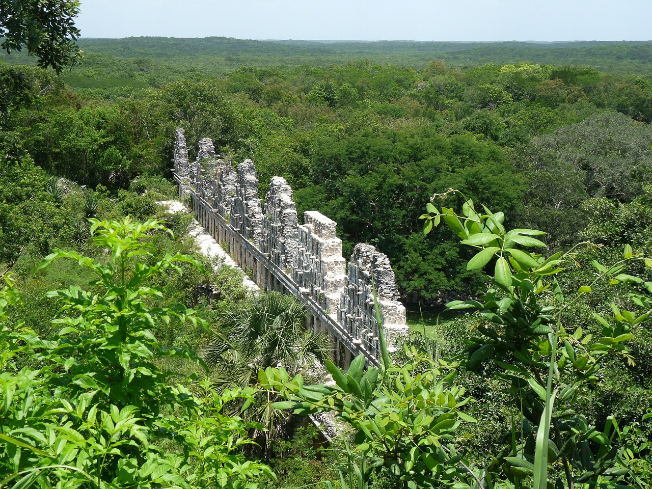 mexico yucatan maya free photo