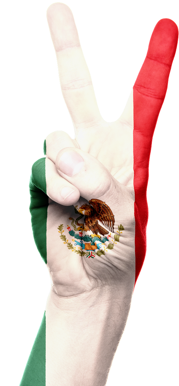 mexico flag hand free photo