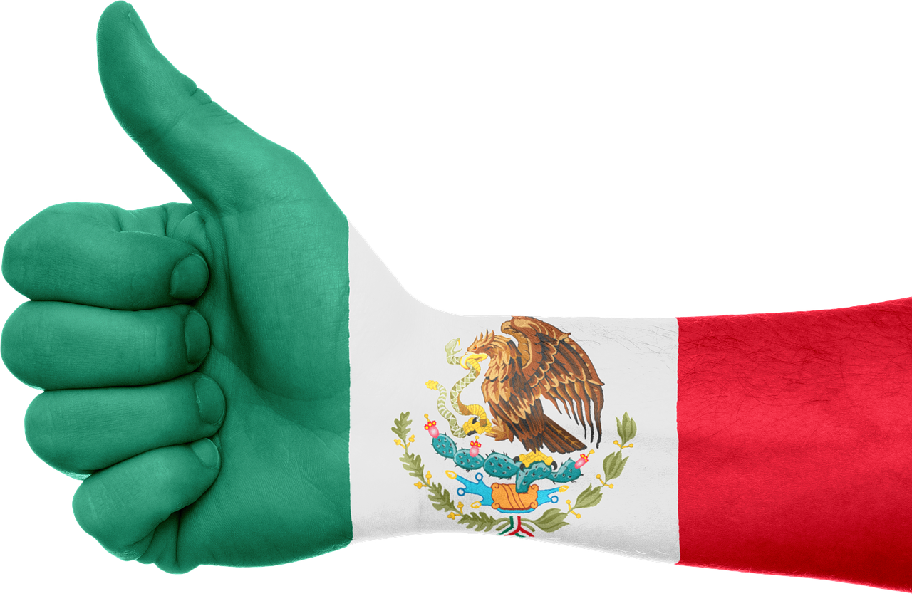 mexico-flag-hand-national-pride-free-image-from-needpix