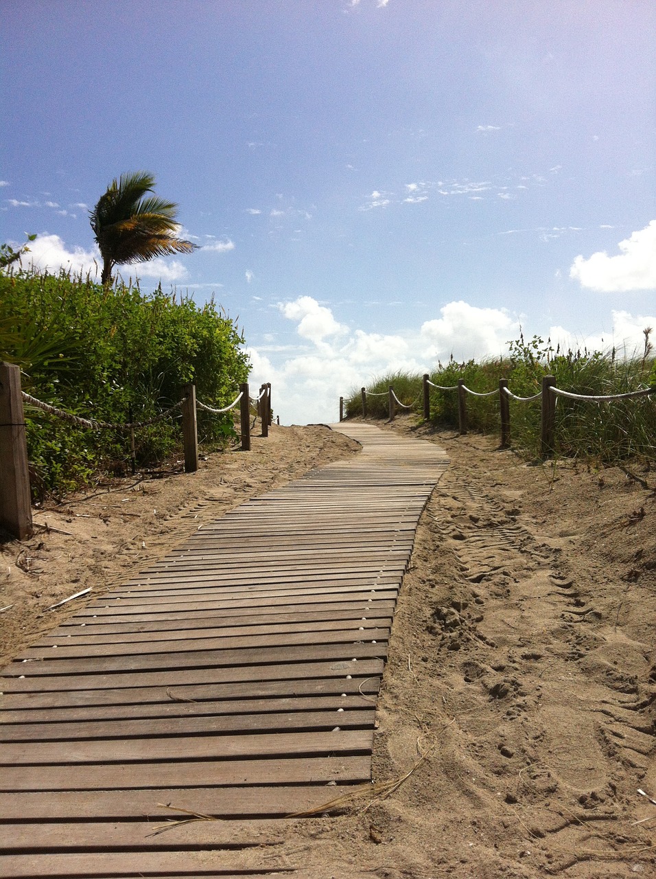 miami beach sand free photo