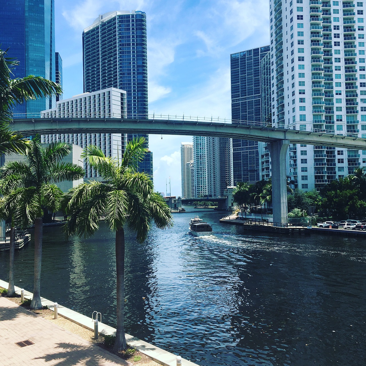 miami river beautiful view free photo