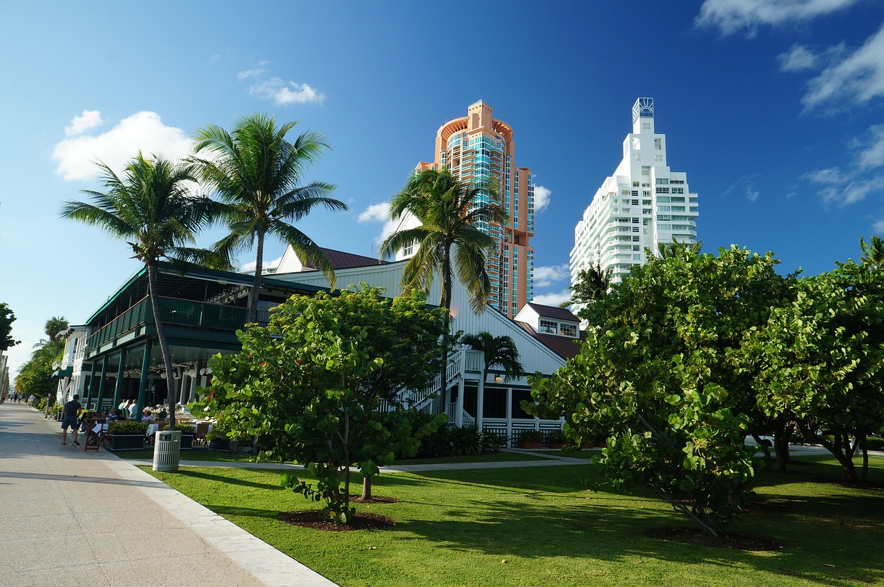 miami florida buildings free photo