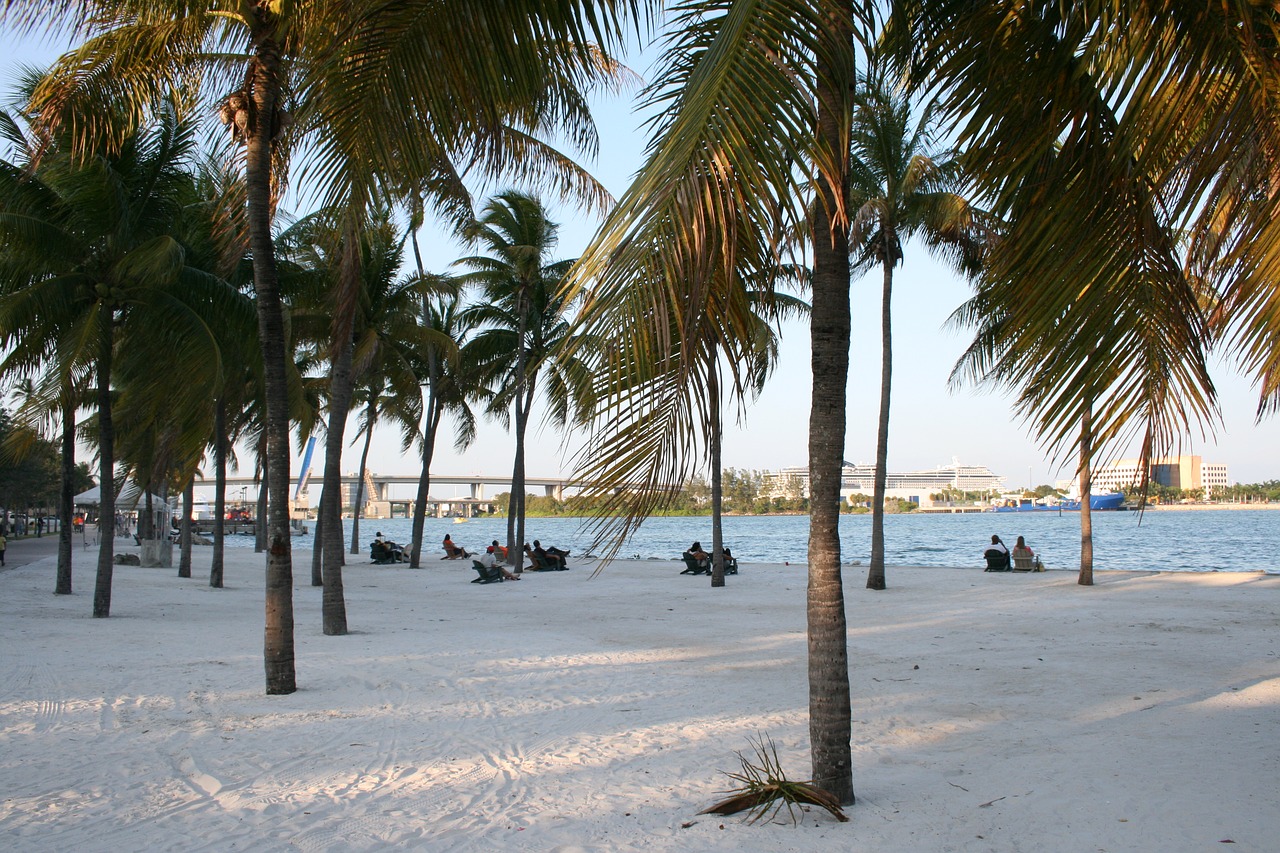 miami  beach  holiday free photo