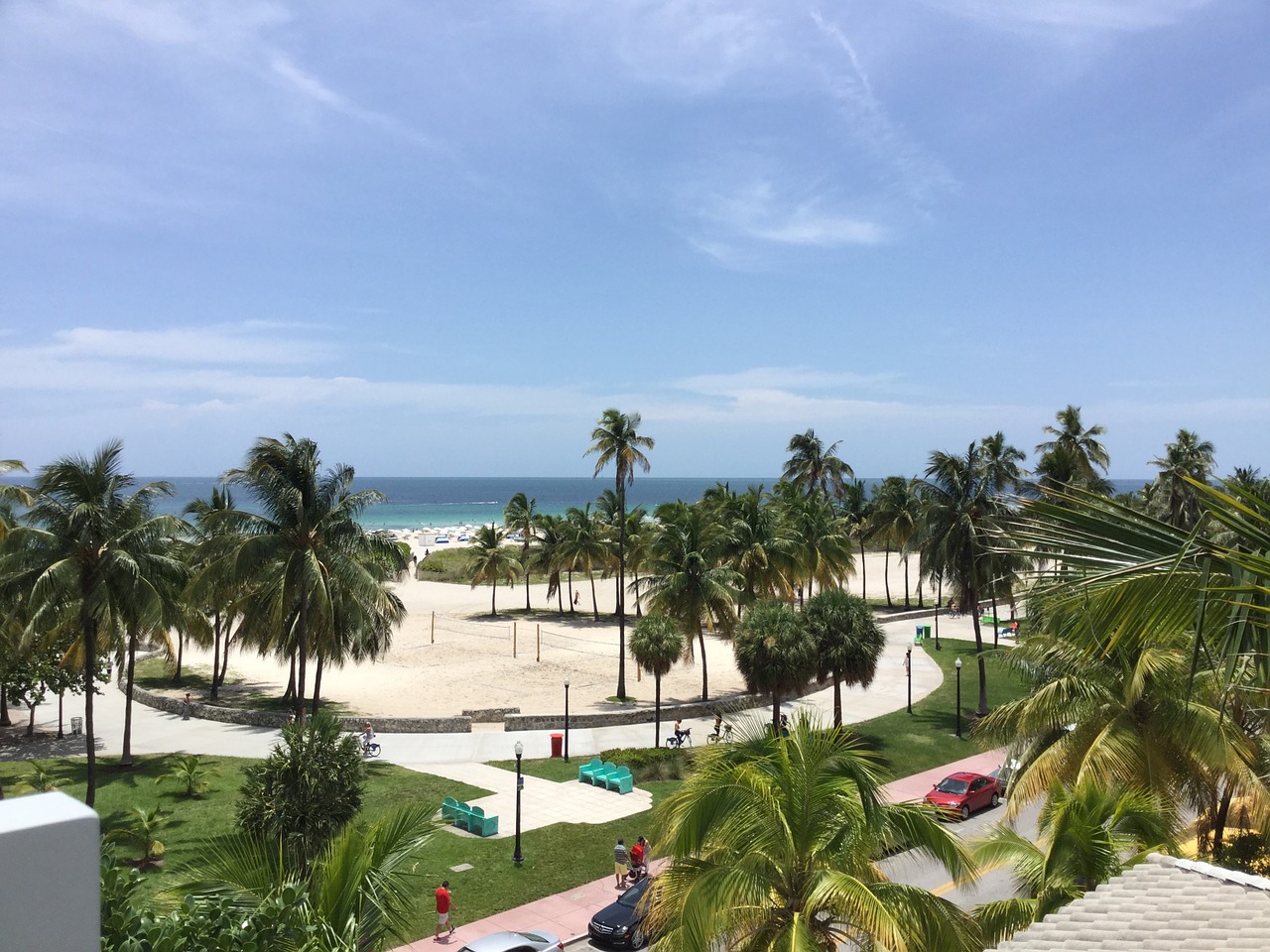 miami beach palms free photo