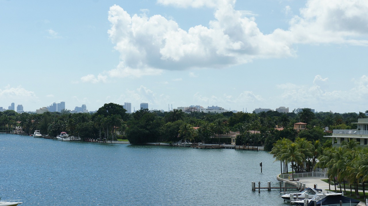 miami beach palm trees water free photo