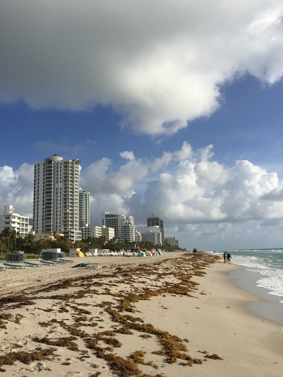 miami beach beach florida free photo