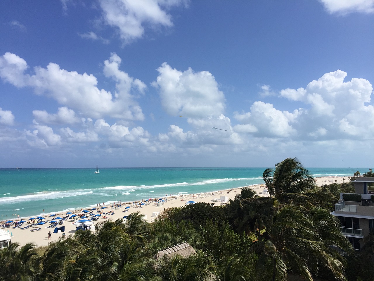 miami beach beach florida free photo