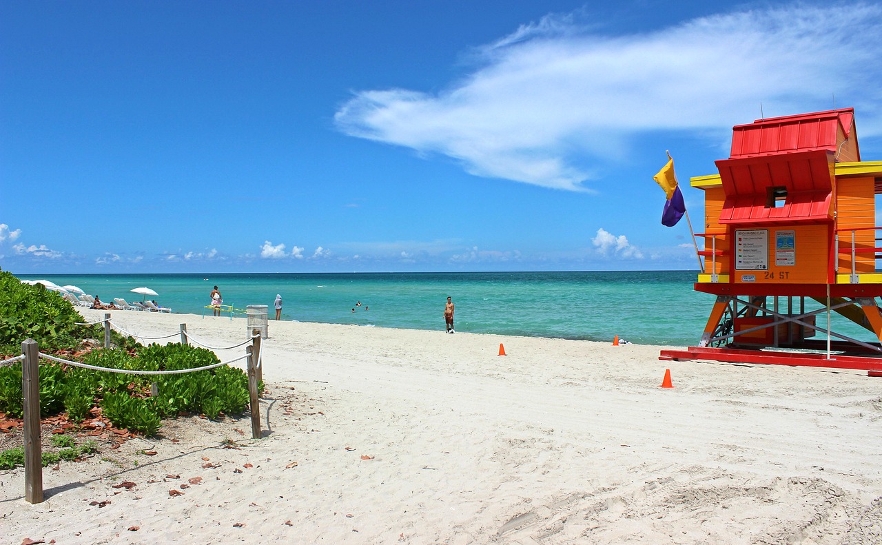 miami beach beach florida free photo