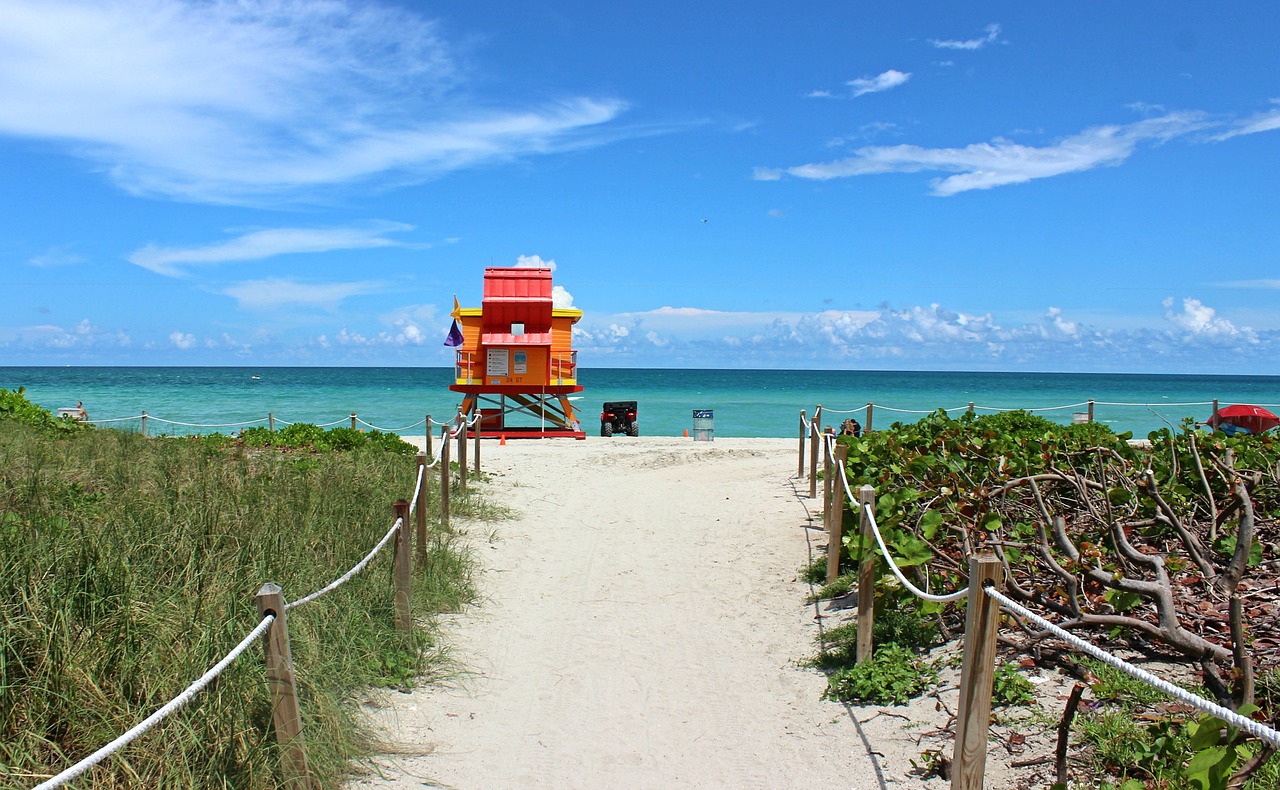 miami beach beach florida free photo