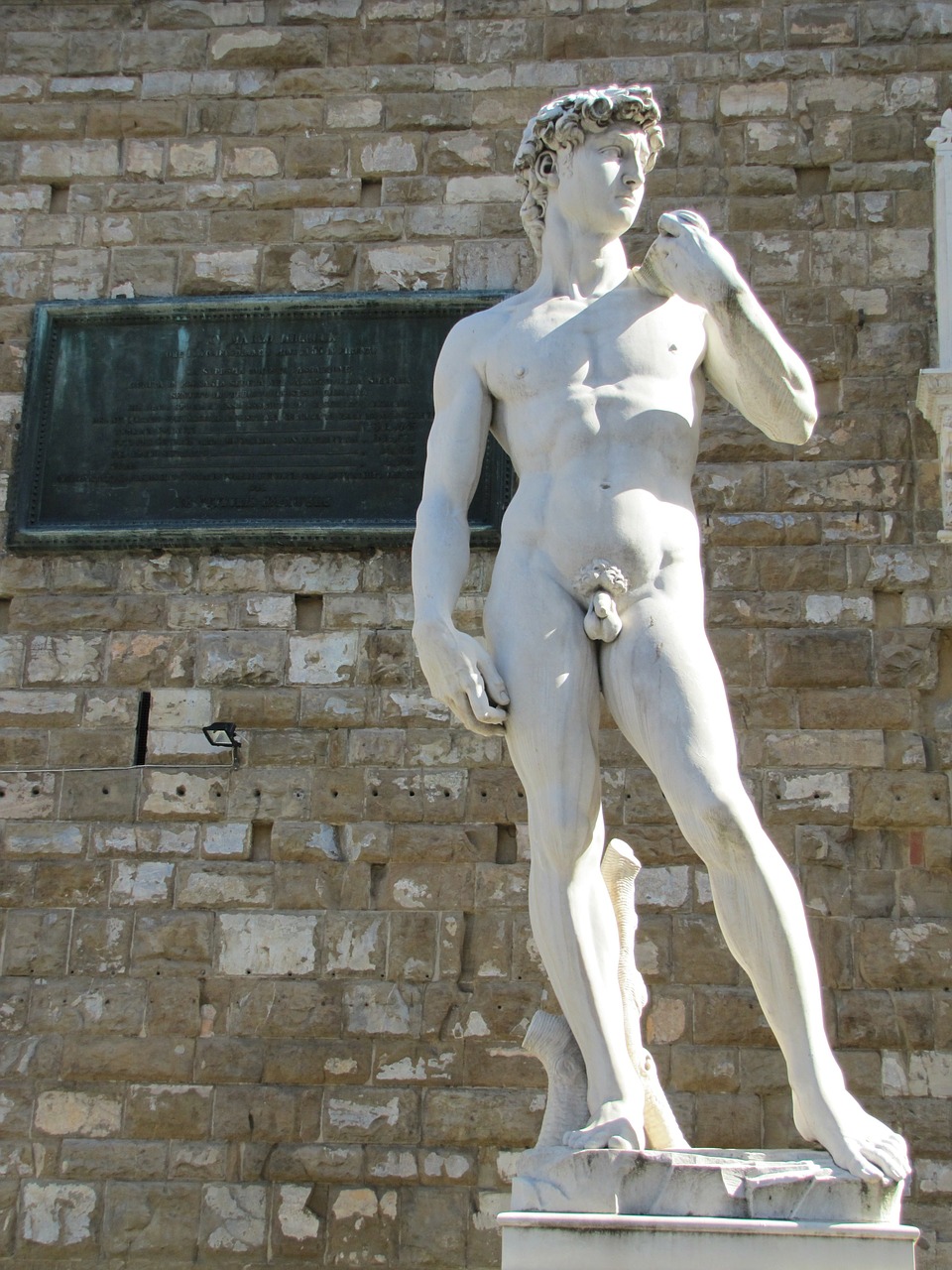 michelangelo's david statue statue of david free photo