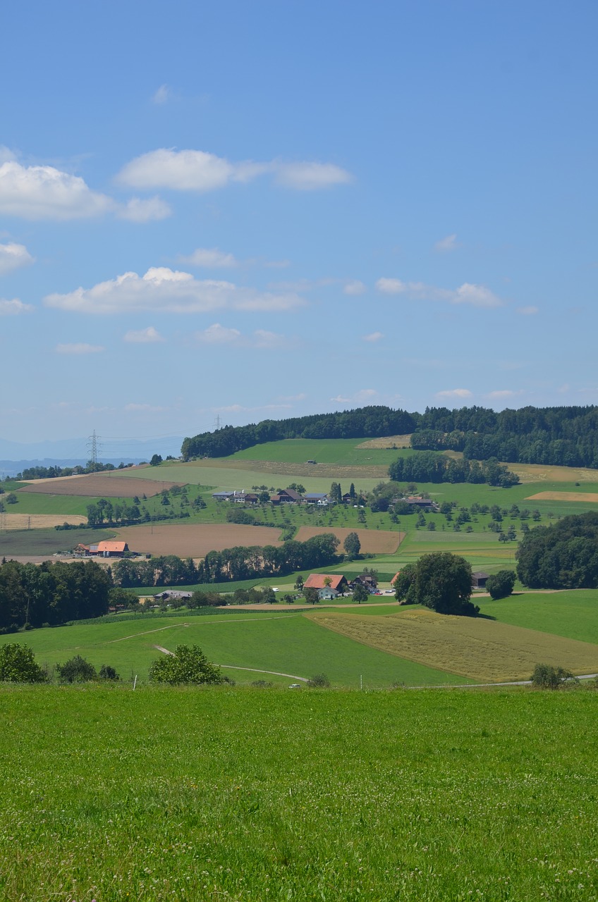 michels office beromünster nature free photo