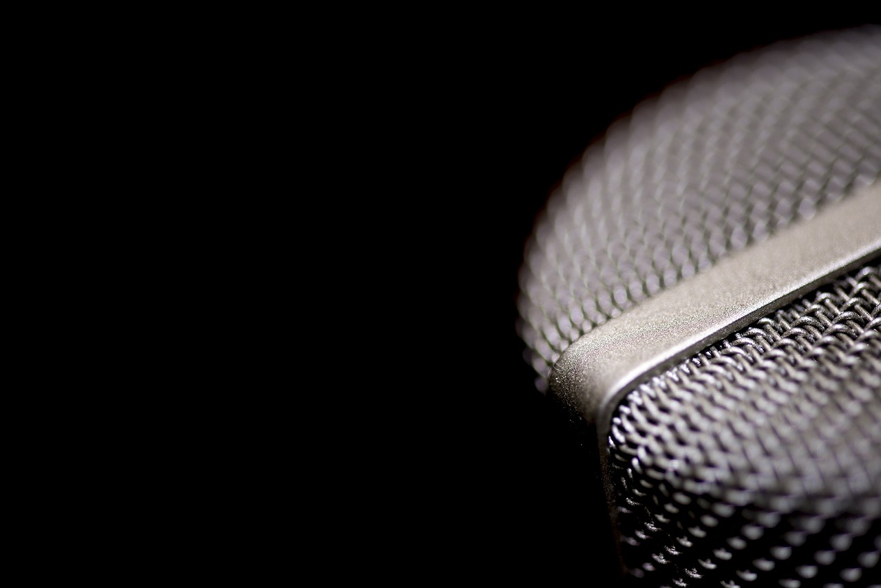 microphone vocal voice free photo