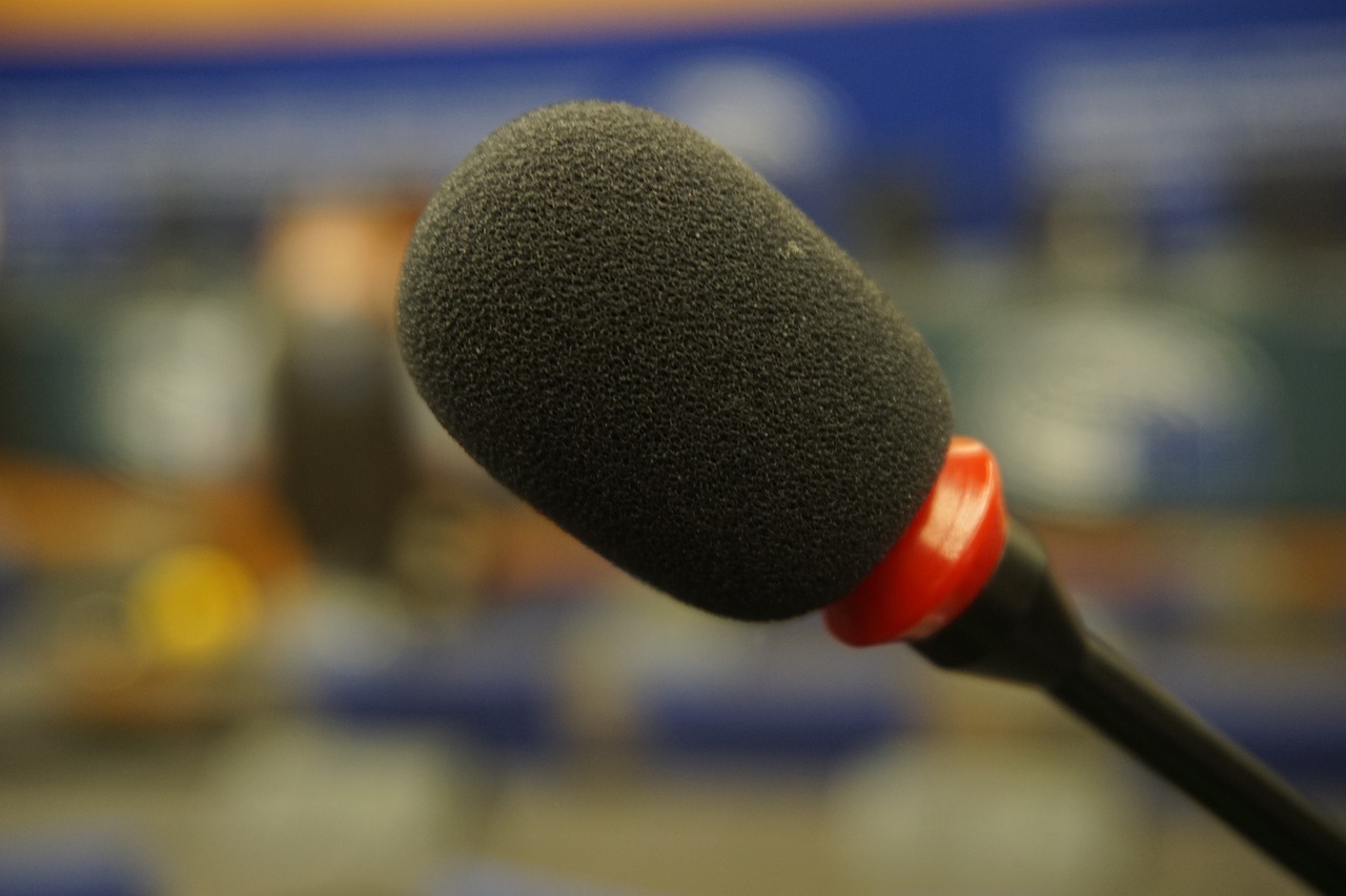 microphone european parliament parliament free photo