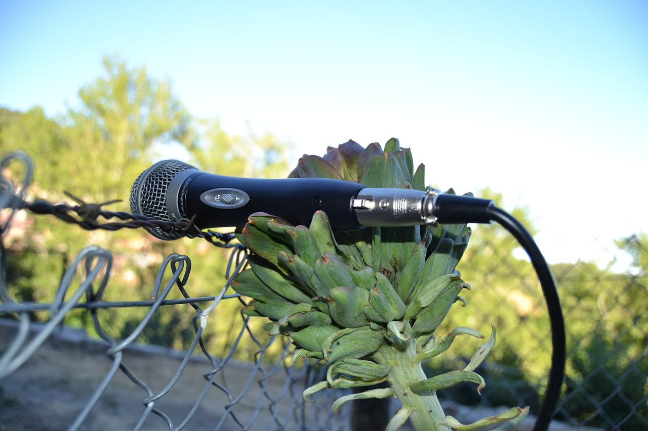 microphone artichoke nature free photo