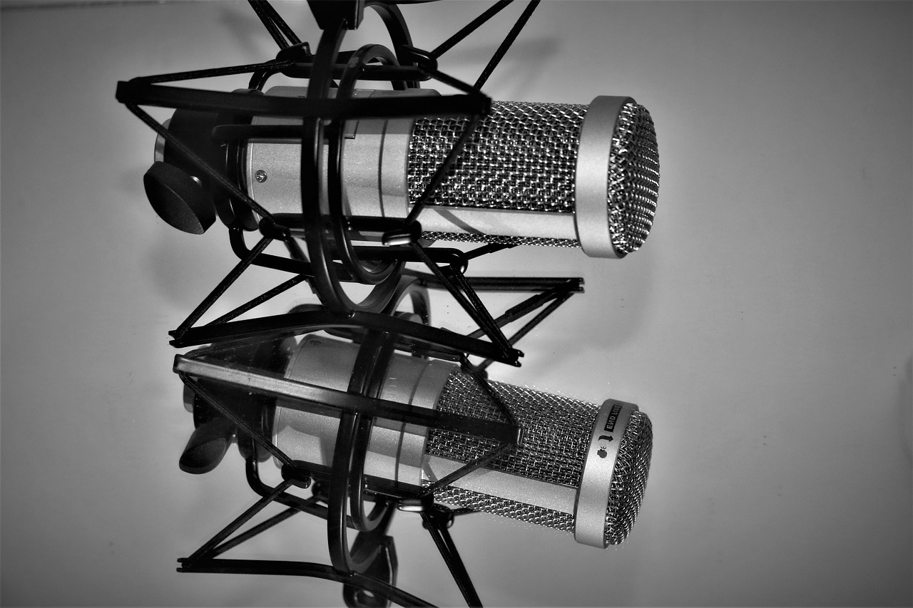 microphone  studio  voice free photo