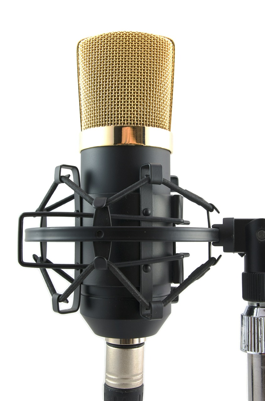 microphone mic vocal free photo