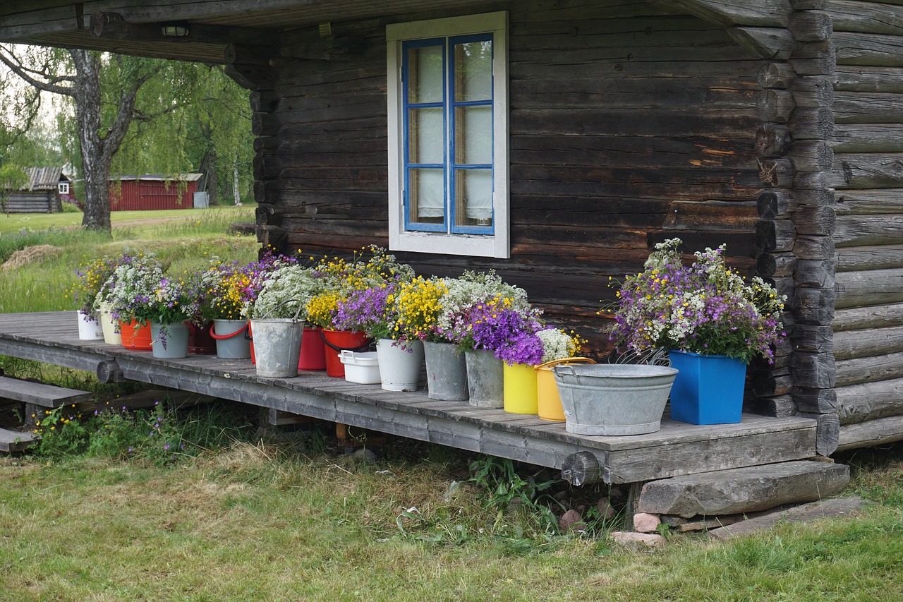 midsummer flowers midsommarblommor free photo