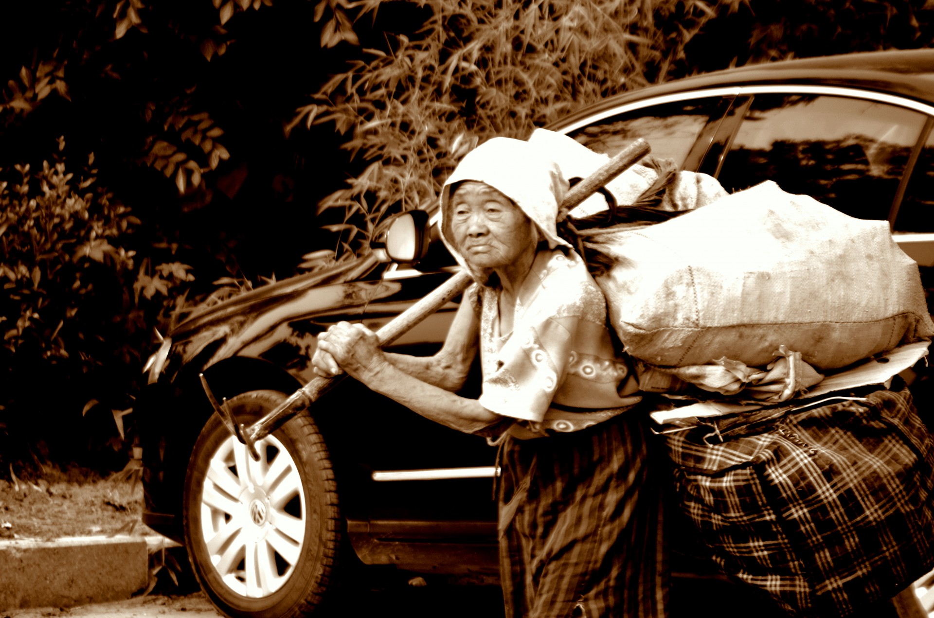 people woman elderly free photo
