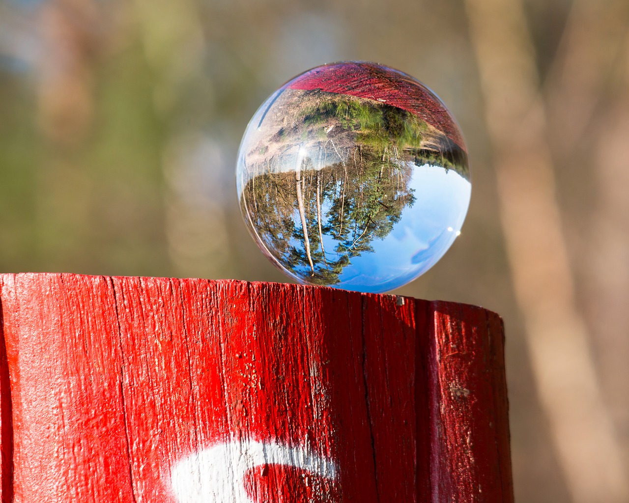 migratory character victory trail glass ball free photo