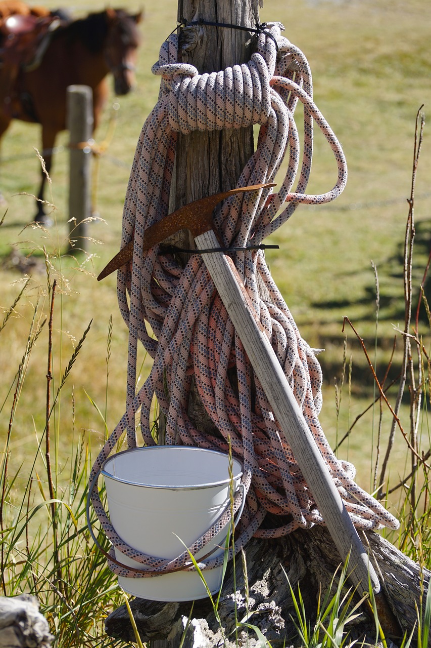 migratory utensils rope pimples free photo