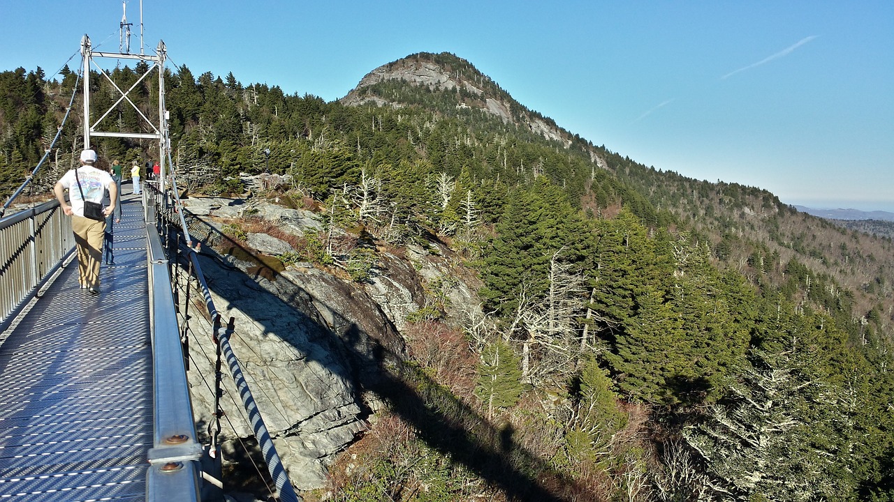 mile high bridge grandfather mountain nature free photo