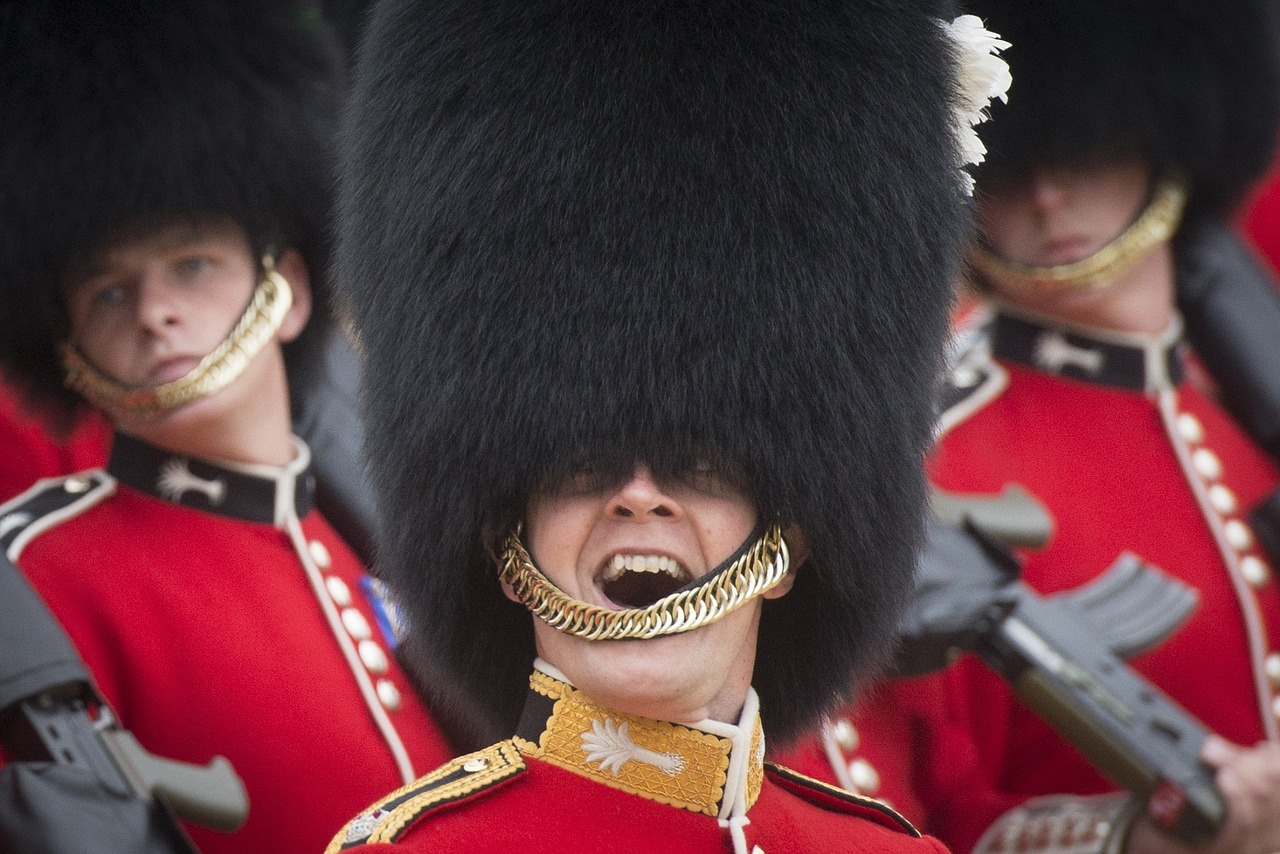 military army foot guards free photo