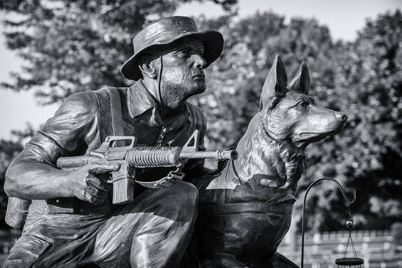 military  working  dog free photo