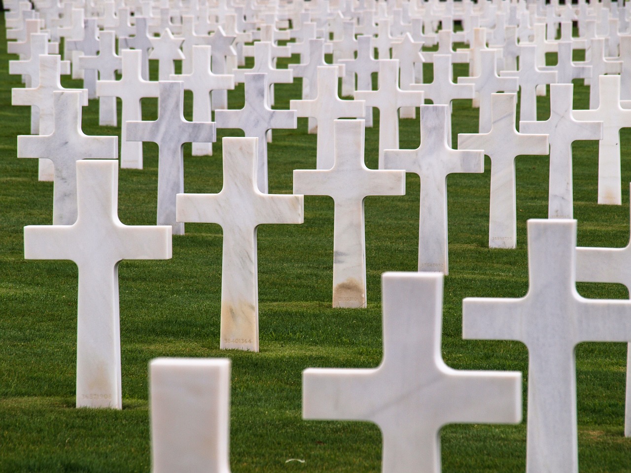 military cemetery crosses normandy free photo