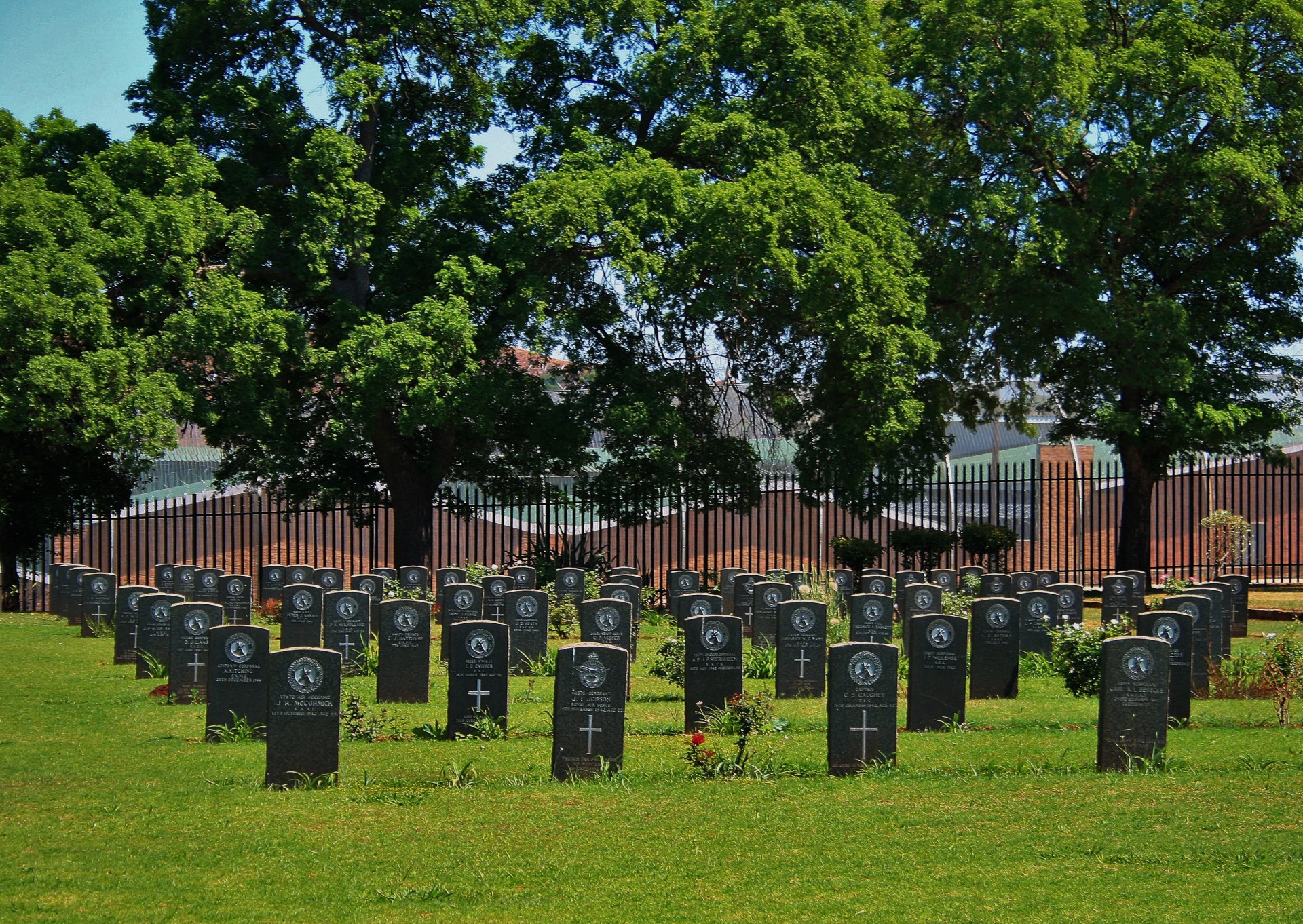 cemetery graves military free photo