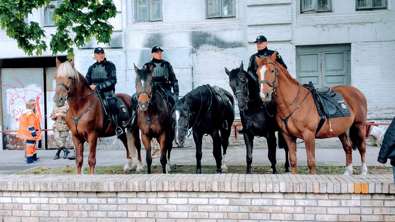 military uniform horse police free photo