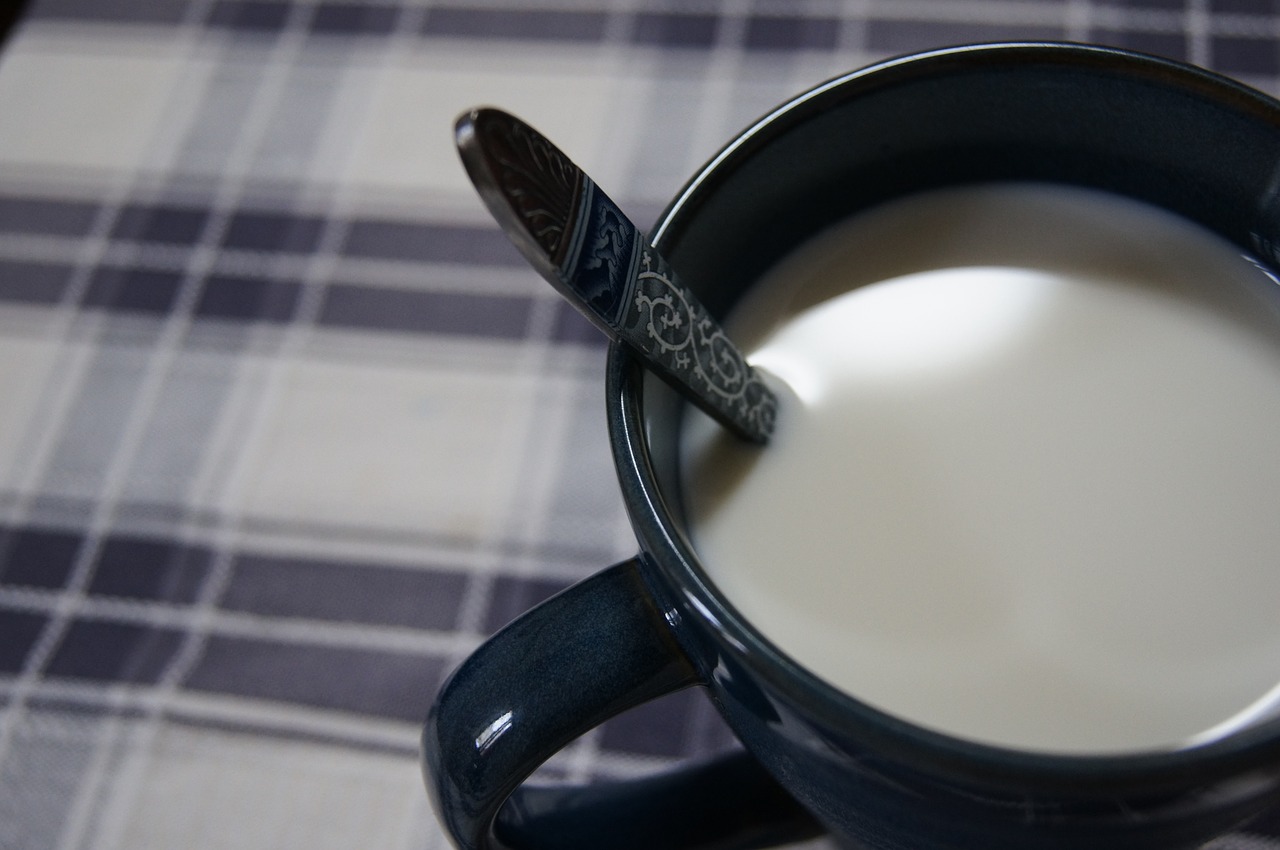 milk breakfast home free photo