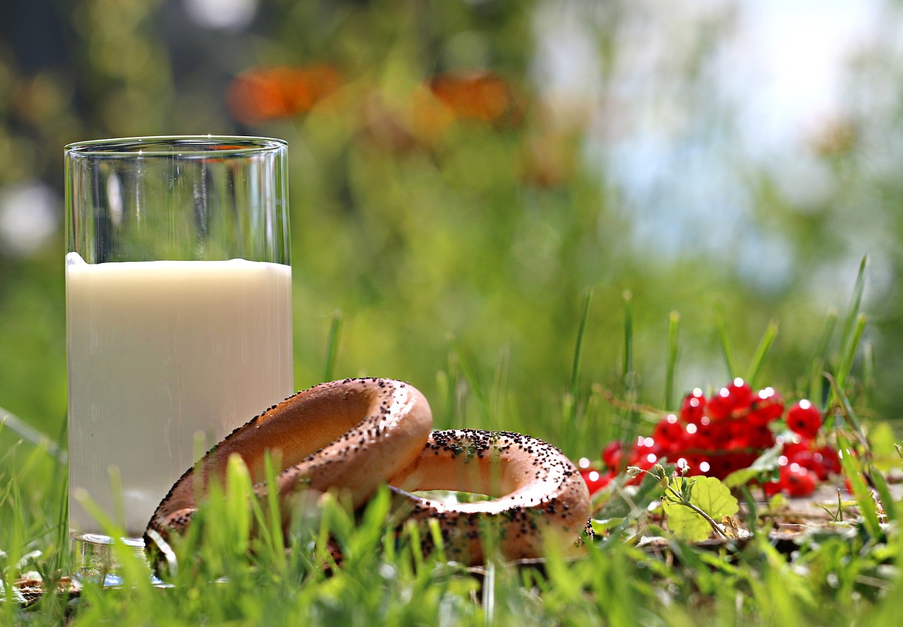 milk glass bread free photo