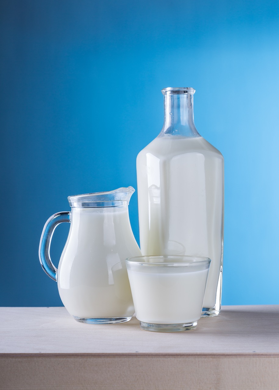 milk dairy products pitcher free photo