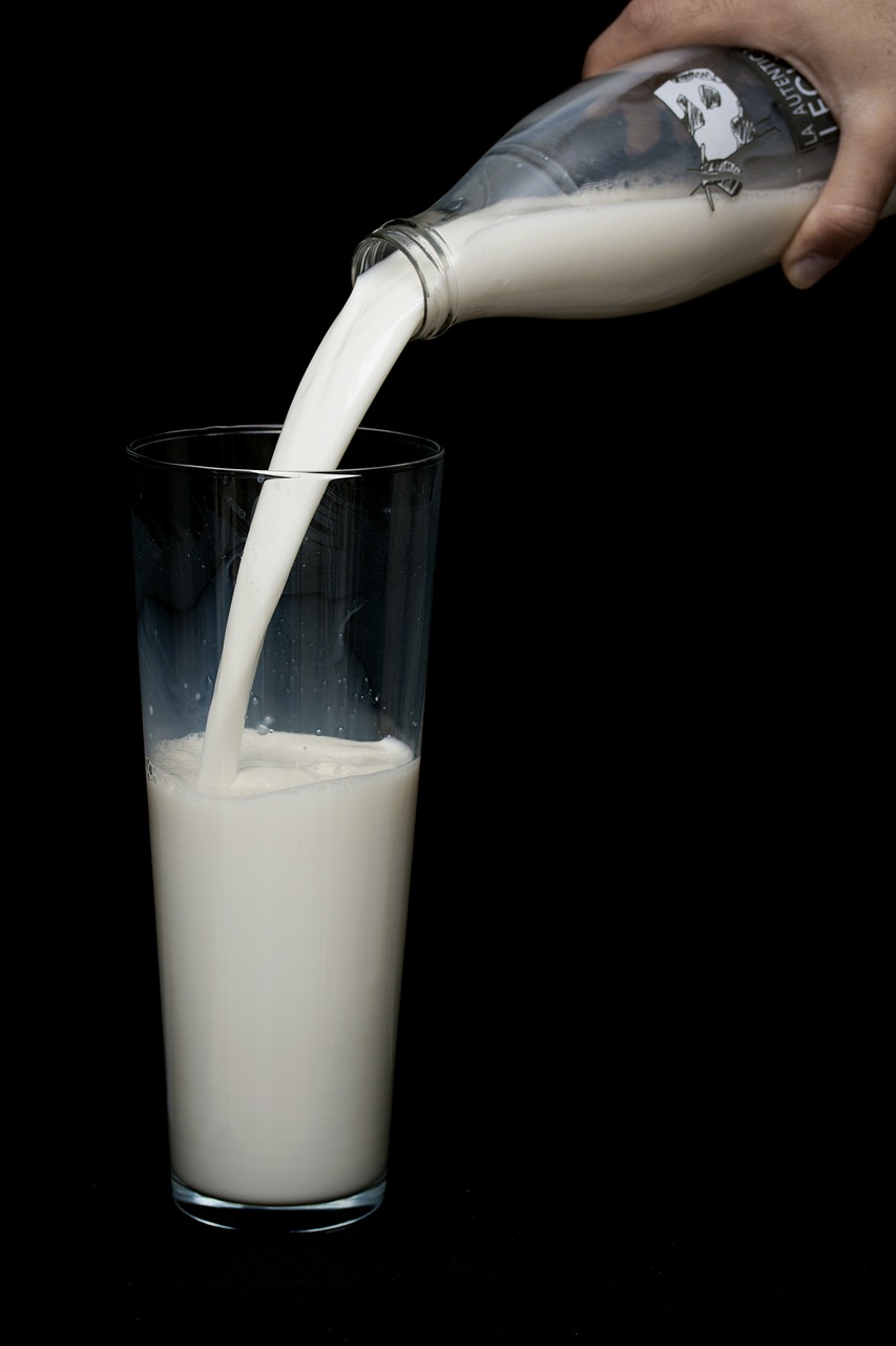 milk health growth free photo