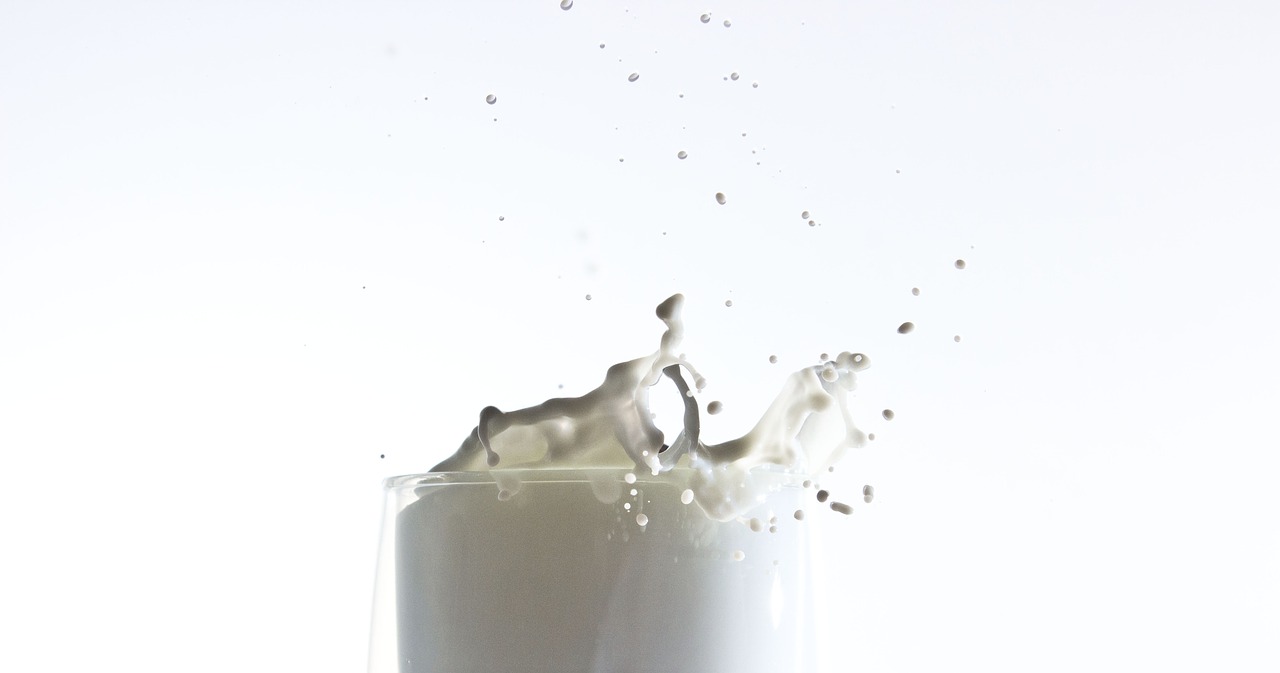 milk  splash  healthy free photo