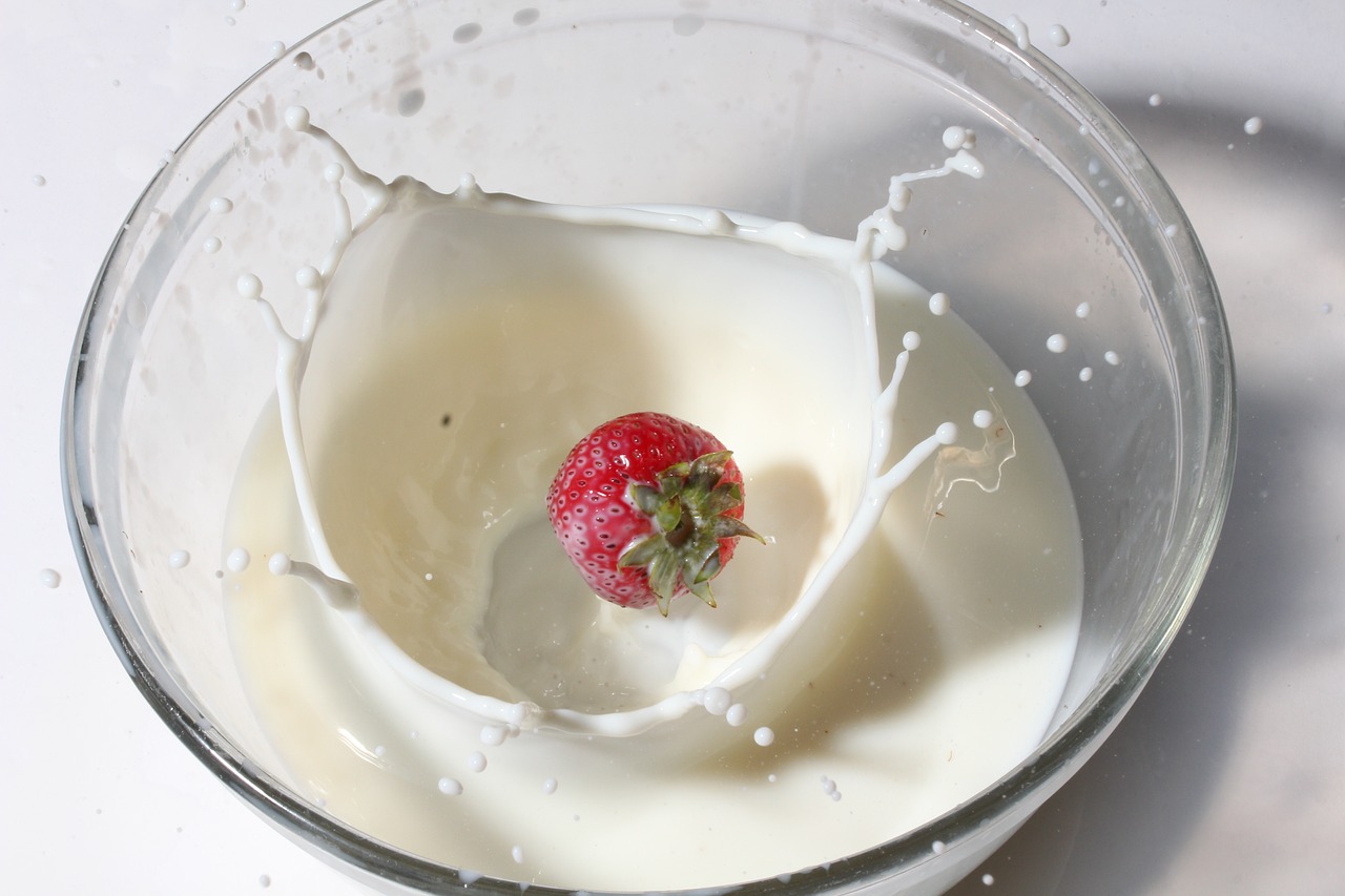 milk  cream  food free photo