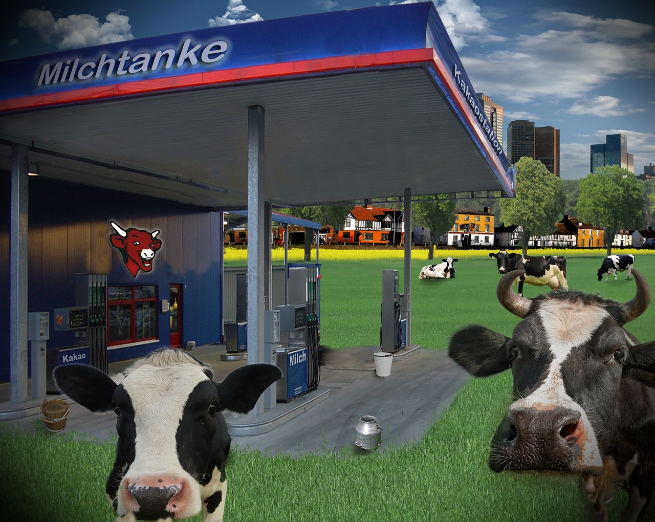 milk petrol stations cows free photo