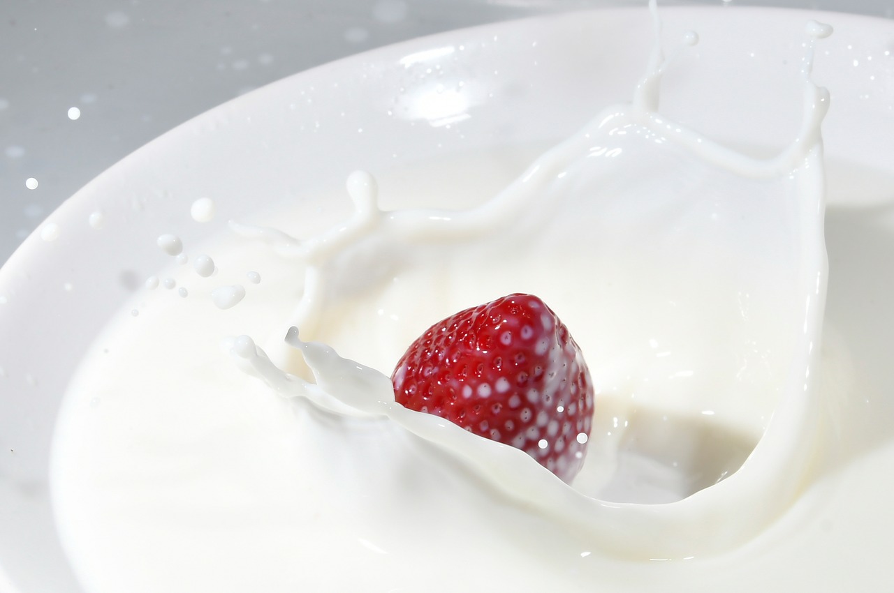 milk  white  food free photo