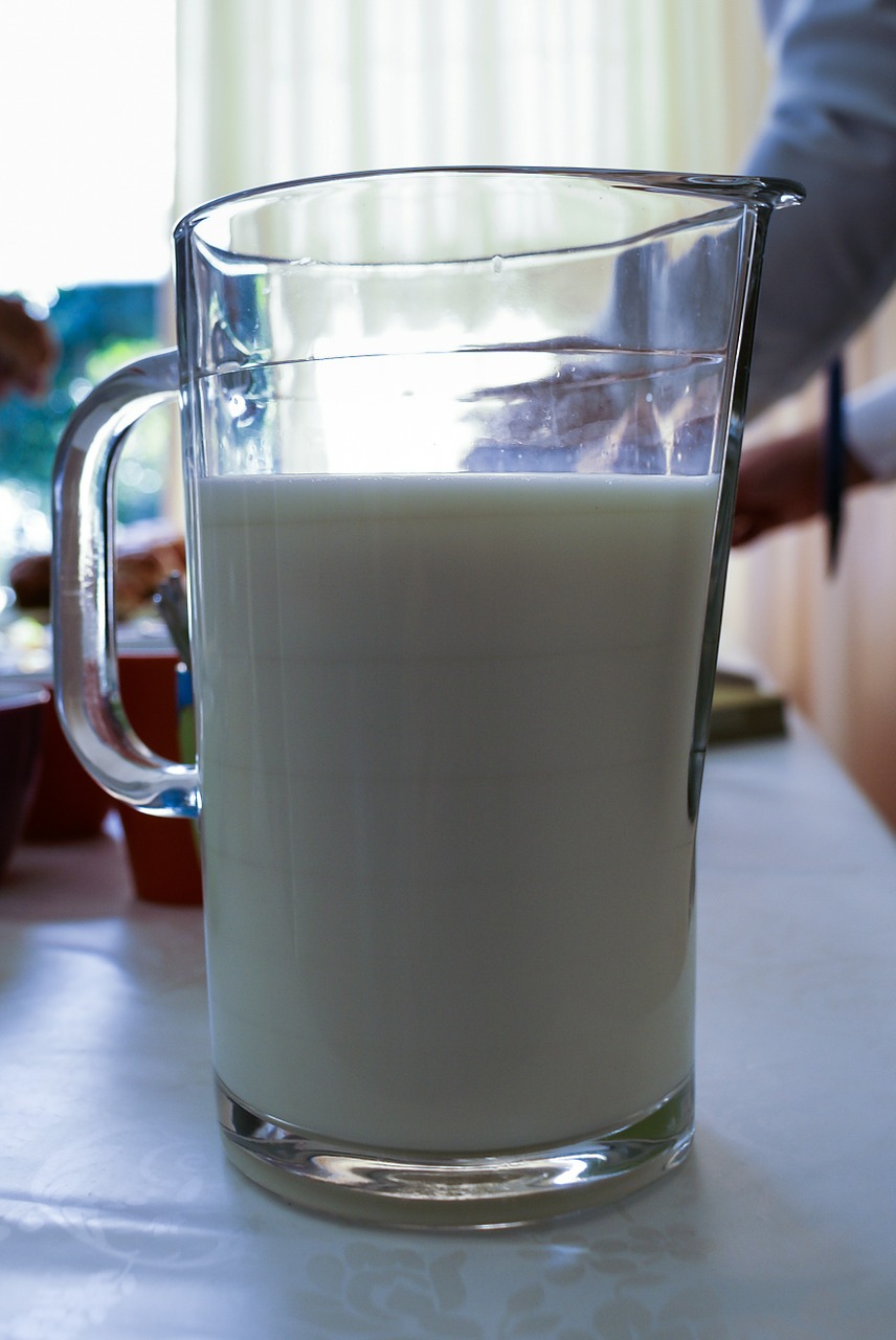 milk milking glass free photo