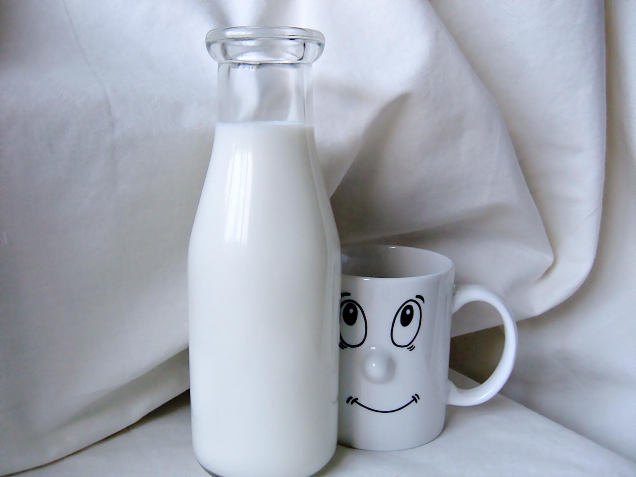 milk cow drink free photo