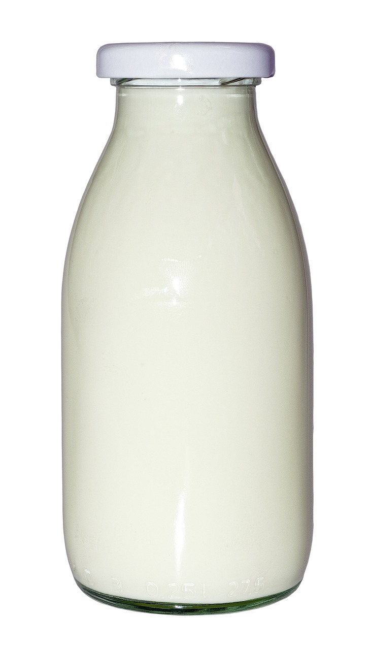 milk bottle milk bottle free photo