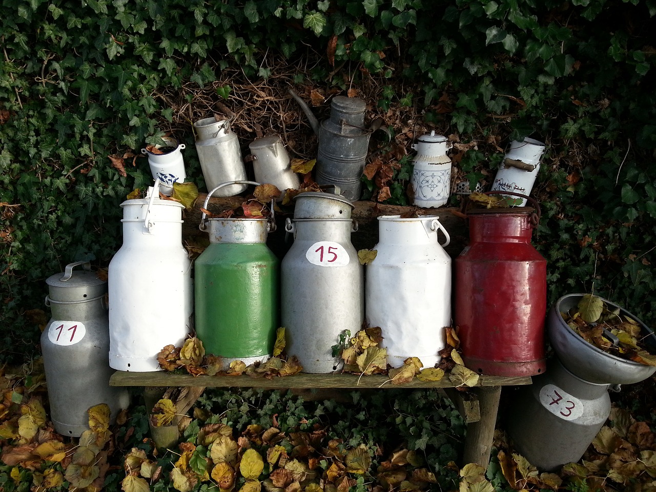 milk cans  pot  autumn free photo