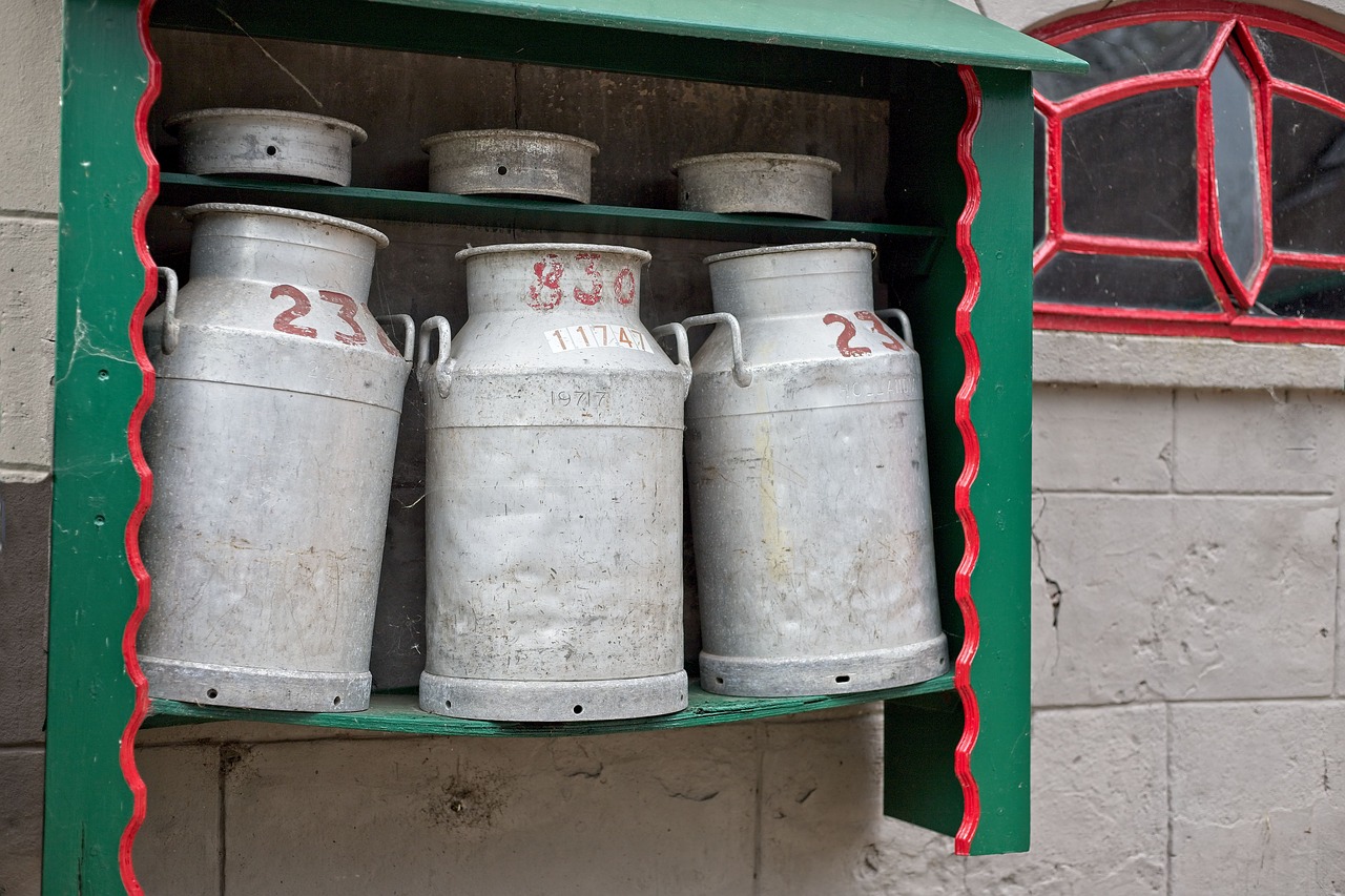 milk churn  churns  milk free photo